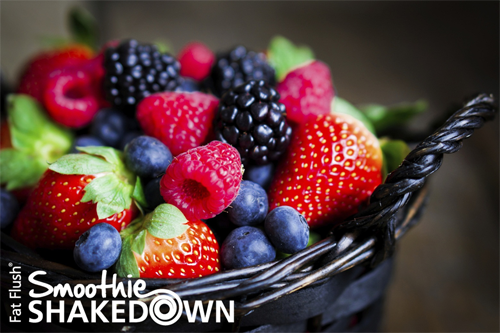 Fiber-filled Shakedown Foods (Official Smoothie Shakedown Tips)